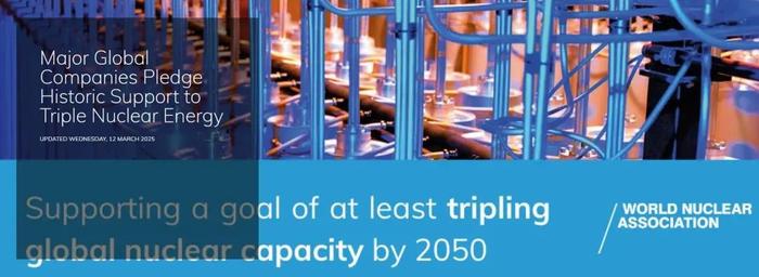 亚马逊、谷歌和Meta承诺支持“2050核电翻三倍”