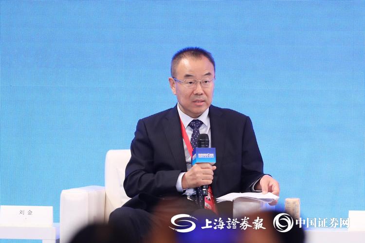 中国人民银行金融研究所刘金硕：发挥好政府投资的带动作用