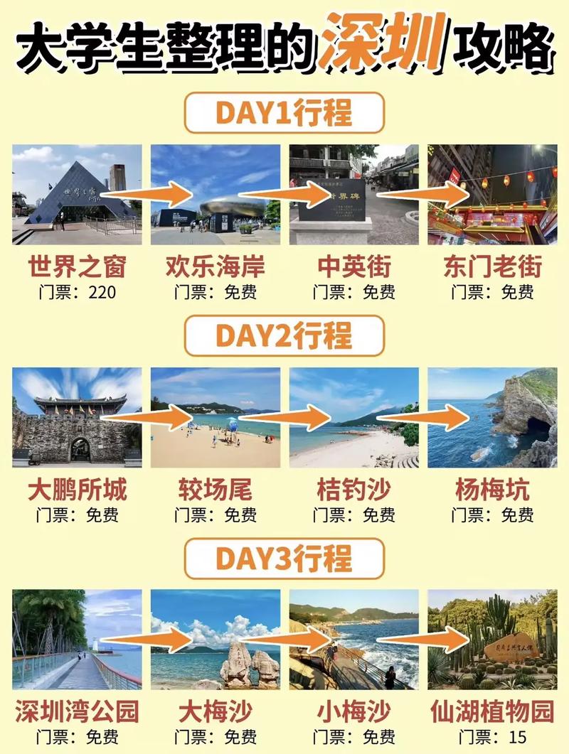 如何选择适合你的伴游活动